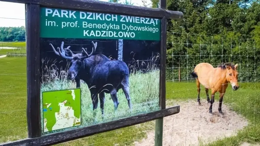 Mazurskie zwierzęta na wyciągnięcie ręki. Tylko tu je zobaczysz tak blisko