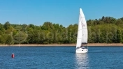 MAXUS 34